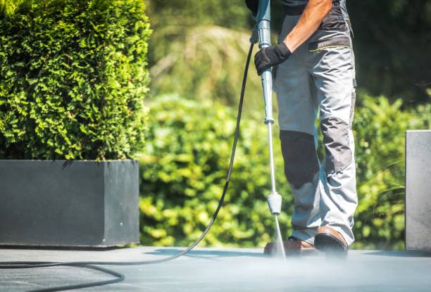 Best Roof Washing  in Upper Saddle River, NJ